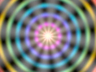 Bloom Pulse